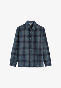 Selezionato, blue gerens hydrangea