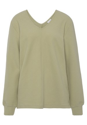 Lichtgroene pullover met ribbelstructuur, V-hals en lange mouwen. Eenvoudig ontwerp met minimale details, geschikt voor casual dragen.