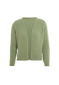 Groene gebreide cardigan met een textuurpatroon, open voorkant, lange mouwen en geribde boorden en onderrand. Zacht, lichtgewicht materiaal.