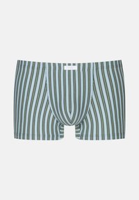 Boxers pour hommes avec un motif rayé vertical en vert et bleu clair, dotés d'une poche contour et d'une taille élastique.