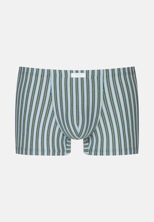 Men's boxers with a vertical stripe pattern in green and light blue, featuring a contoured pouch and an elastic waistband.