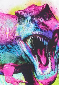 Next SHORT SLEEVE GRAPHIC STANDARD - T-shirt med print - white rainbow dino