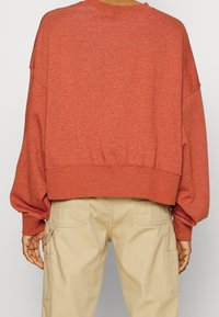 Persona che indossa una felpa scivolata a maniche lunghe di colore ruggine e pantaloni cargo beige, mostrata di spalle su uno sfondo semplice.