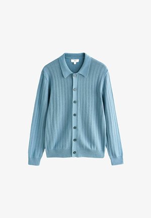 Hellblauer Cardigan mit geripptem Muster, einem kragenlosen Ausschnitt, einer vorderen Knopfleiste und langen Ärmeln. Auffällige dunkle Knöpfe akzentuieren das Design.