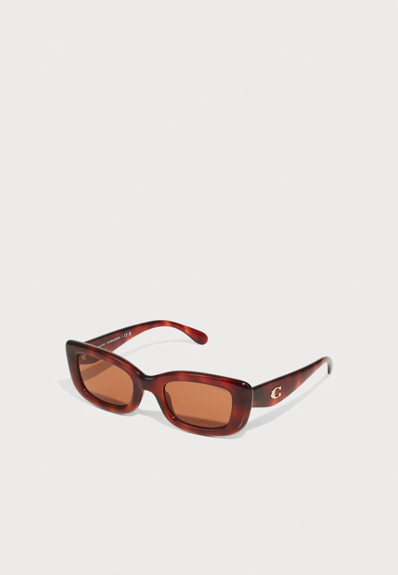 COACH - Lunettes de soleil - caramel tortoise, Agrandir
