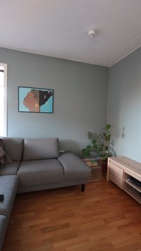 Szürke sarokkanapé egy világoskék falon lógó bekeretezett portré alatt, mellette fa szekrény és cserepes növény fa padlón.