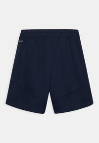 Puma INDIVIDUALFINAL TRAINING - Korte broeken - parisian night-fizzy light