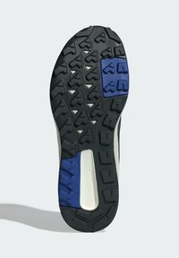 Adidas Terrex ANYLANDER - Obuća za penjanje - magic grey steel semi lucid blue
