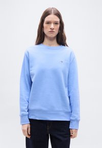 Νεαρή γυναίκα με μακριά καστανά μαλλιά, που φοράει ανοιχτό μπλε φούτερ και σκούρο τζιν, στέκεται μπροστά σε ένα απλό φωτεινό φόντο.