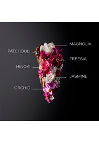 Shiseido GINZA EAU DE PARFUM - Eau de parfum - -