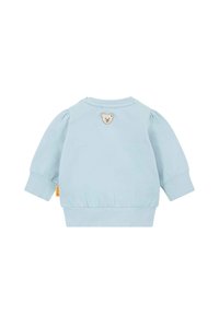 Sudadera azul claro con mangas abullonadas, puños y dobladillo de canalé, con un parche de oso en la parte posterior. Fabricada en suave material de algodón.