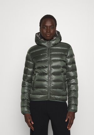 LADIES JACKET MATTE HOOD - Dunjakke - matcha dark steel