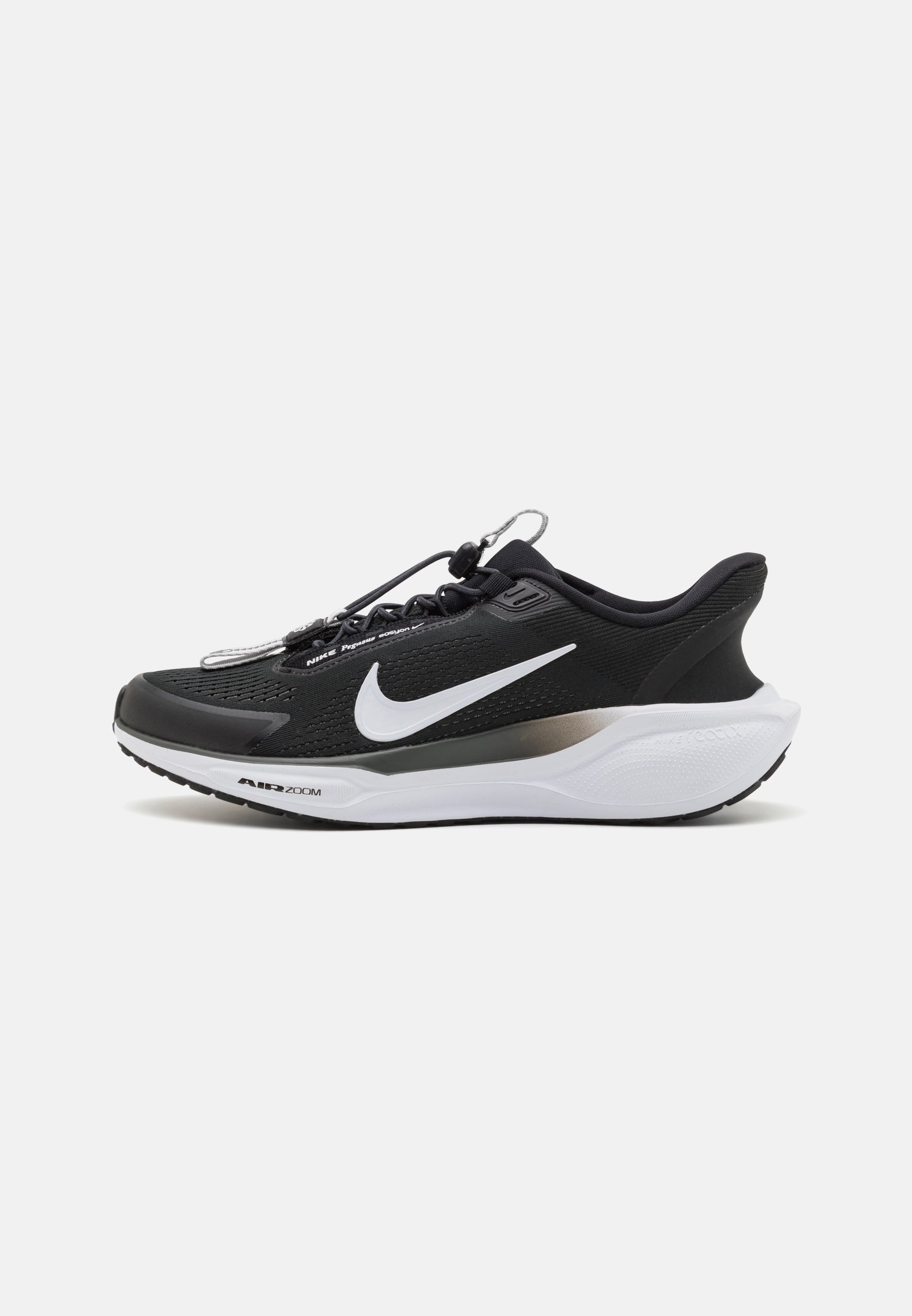 Nike Performance PEGASUS EASYON Chaussures de running sur route