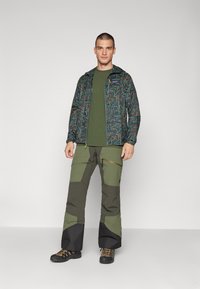Patagonia HOUDINI  - Windbreaker - nouveau green