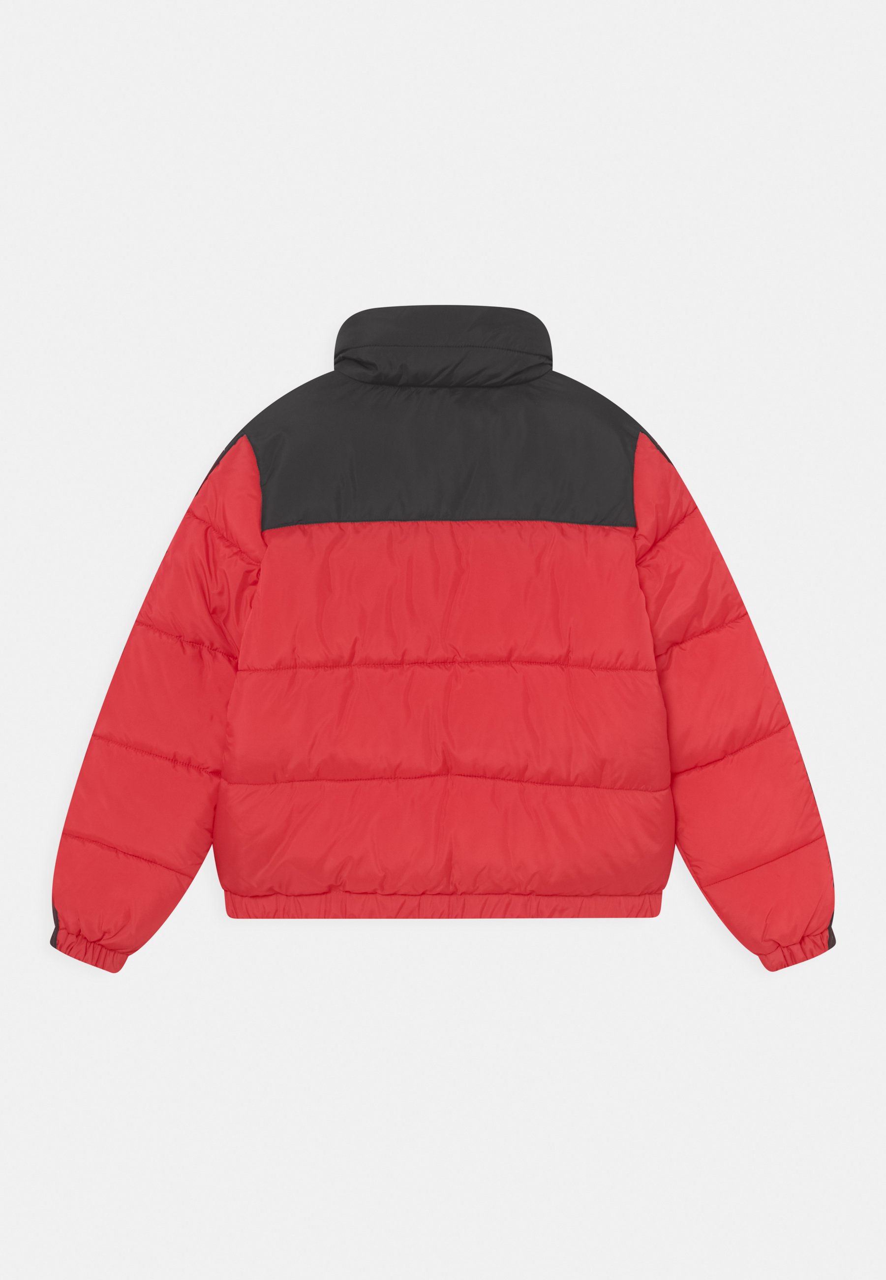 Kappa JELENA UNISEX - Chaqueta de invierno - racing red/rojo - Zalando.es