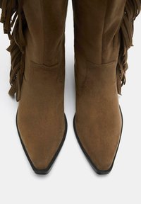 Stivaletti in suede marrone con punta affusolata, caratterizzati da dettagli in frange lungo i lati e una suola nera texturizzata.