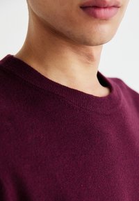 GAP CASHSOFT CREW - Trui - noir red