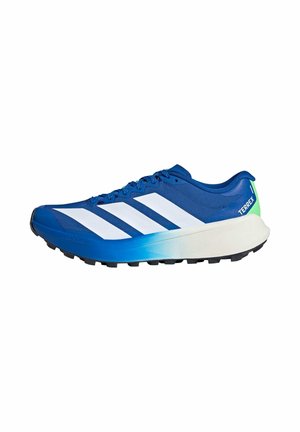 Blue trail running shoe with white stripes, green heel tab, thick white and blue sole, and black tread labeled "TERREX".