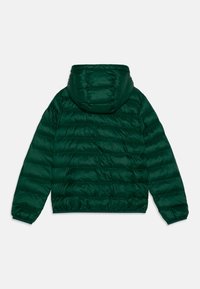 Grøn polstret jakke med hætte, quiltet design, elastiske manchetter og en glat, blank overflade. Bagsiden viser horisontale sømme.