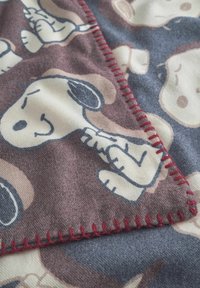 Coperta in pile con un motivo a cartone animato di Snoopy su uno sfondo marrone e blu, con un bordo rosso ricamato e una texture liscia.