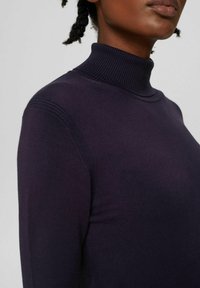 Donkerpaarse coltrui met een aansluitend ontwerp en een geribbelde kraag. Soepele textuur met subtiele schouderdetails, voornamelijk gericht op het bovenlichaam.