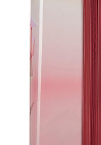 WITTCHEN LUGGAGE SET FROM ABS - Set di valigie - pink