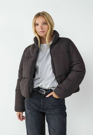 Winterjas - chocolate lab