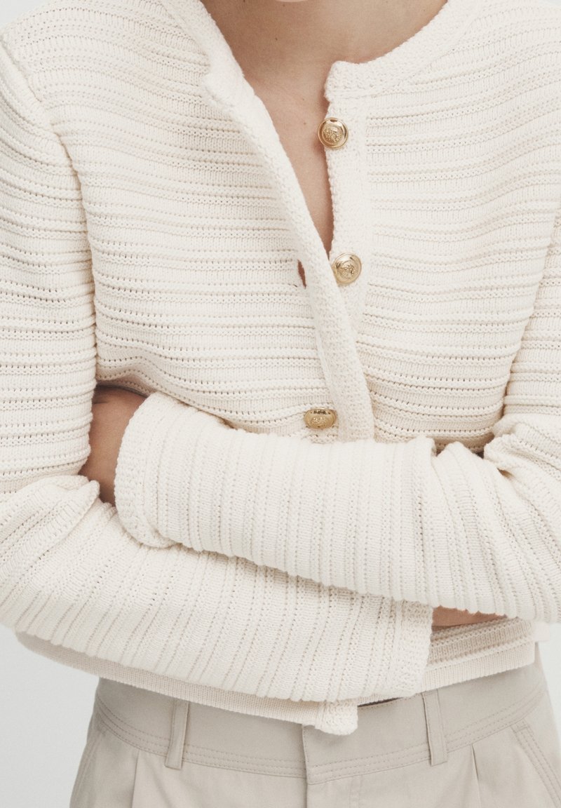 Massimo Dutti Kardigan