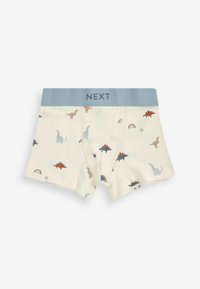 Next 10 PACK STANDARD - Panties - mineral dinosaur