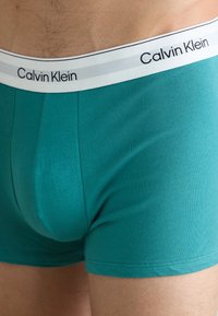 Herre boxer briefs i turkis bomuld med en hvid og grå elastisk talje, der har Calvin Klein-logoet. Glat tekstur og tætsiddende design.