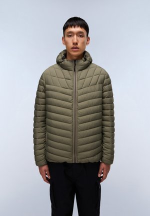 LAPAZ  - Winterjacke - tea leaf g a