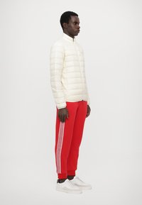 EA7 Emporio Armani TRAIN CORE JACKET - Jachetă cu puf - whitecap gray