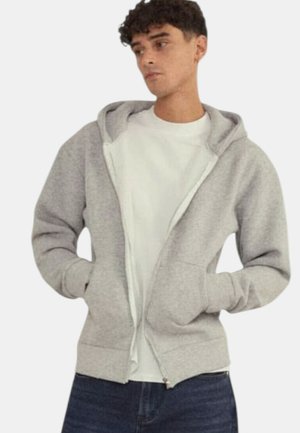 FRILIVIN, Sweat zippé - gris