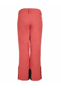 Protest PRTSTATICE - Skihose - rusticrust