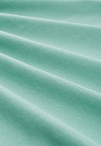 TOM TAILOR DENIM T-shirt print - salvia green