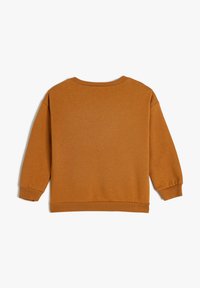 Sweatshirt en coton marron à manches longues, col rond et poignets côtelés. Texture lisse et couleur unie, sans motifs ni embellissements visibles.