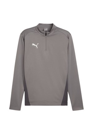 FUSSBALL-TEAMS-GOAL TRAINING 1/4 ZIP - Langarmshirt - grauweiss