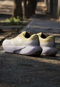 Ζευγάρι μπεζ και λευκά αθλητικά sneakers τοποθετημένα σε ένα φωτεινό ηλιόλουστο μονοπάτι έξω, με δέντρα και σκιές στο φόντο.
