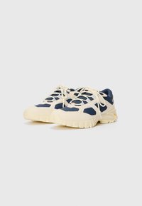 Oakley SIERRA TERRAIN - Joggesko - team navy