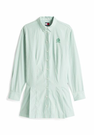 Grün-weiße gestreifte Button-up-hemde mit langen Ärmeln, einem spitzen Kragen und einem gestickten Logo auf der linken Brust. Einfaches Design.