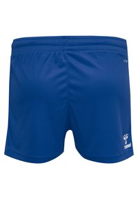 Shorts de sport bleus en tissu lisse avec une taille élastique. Présente un logo sur le côté inférieur droit et un design simple.