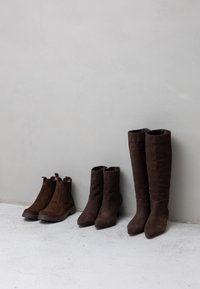Bottes basses en daim marron et bottes montantes jusqu'aux genoux, présentant une texture lisse, des bouts pointus et des fermetures éclair latérales, disposées sur un fond gris clair.