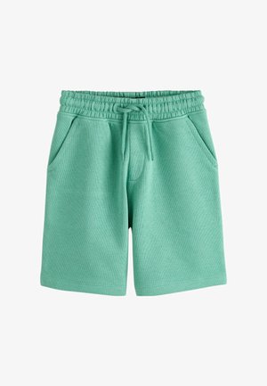 Mintgrønne shorts lavet af blødt stof, med elastisk taljebånd og snor, to sidelommer og en glat tekstur.