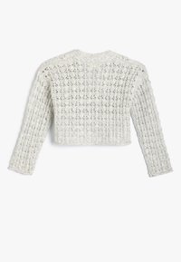 Maglione grigio chiaro, tagliato, con maniche lunghe. Presenta un design a maglia aperta con texture e un motivo floreale, con scollatura a costine.