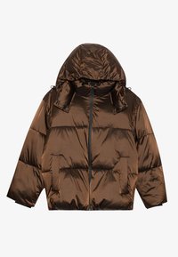 UNISEX - Casaco de inverno - brown
