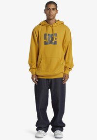 DC Shoes STAR PH - Hoodie - yky tinsel