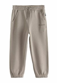 Hellgraue Sweatpants mit elastischem Bund, verstellbarem Kordelzug, Seitentaschen und dem Text "LTD. EDITION" auf dem linken Oberschenkel.