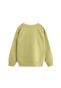 Felpa a maniche lunghe verde chiaro con polsini, orlo e scollatura rotonda a costine, mostrata da dietro su uno sfondo bianco.