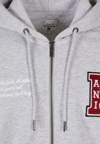 Hoodie gris à fermeture éclair avec zip en métal, capuche à cordon de serrage et patch rouge brodé "ANI". Présente un texte blanc sur le côté gauche.