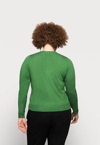 Groene trui met lange mouwen, nauwsluitend ontwerp, gladde textuur en geribbelde manchetten; gedragen met zwarte broek, gezien vanaf de achterkant.